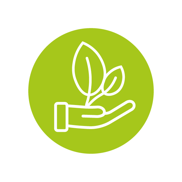 Environment icon